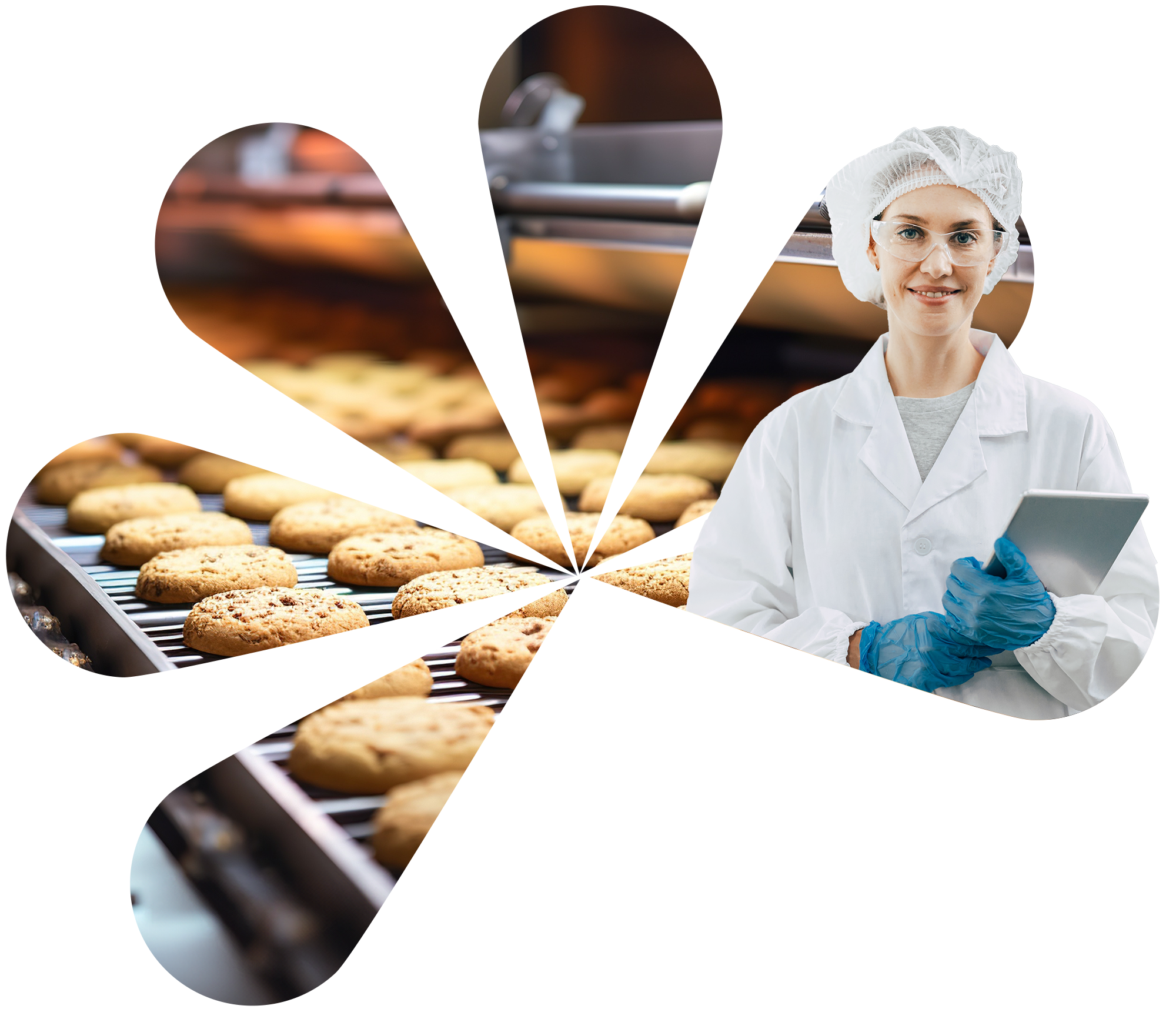 Impianto industriale alimentare sanificato da Clean Service, in conformità con le normative igienico-sanitarie e gli standard ISO 22000 e HACCP